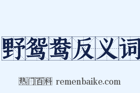 野鸳鸯反义词是什么意思的图片